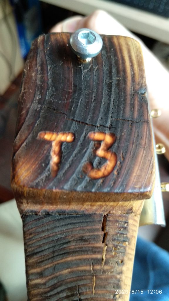 T3 è il nome del trottulele ospite di questa puntata di Rigonia